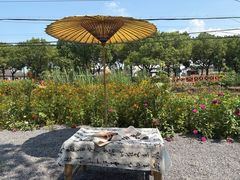 -丫丫蟹庄·苏式园林农家乐·阳澄湖大闸蟹(阳澄湖莲花岛店)