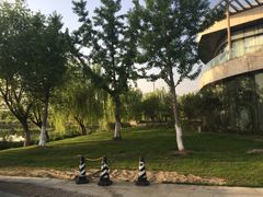 -九里河湿地公园