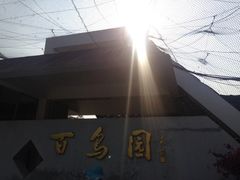 iphone_upload_pic-百鸟园