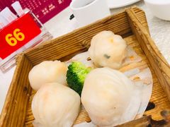 龙的至尊虾饺皇-龙的酒楼·手工早茶·顺德菜(近良路店)