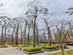 -芒洲湿地公园