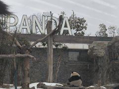 -武汉动物园