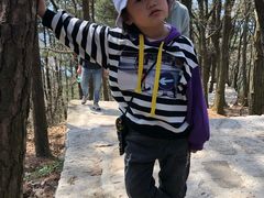 -张公山寨景区