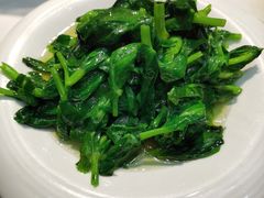 清炒豆尖-峨嵋酒家总店(车公庄店)