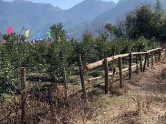 -萍乡武功山风景名胜区