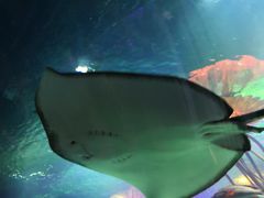 -沈阳海洋探索中心