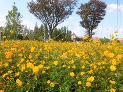 -歌斐颂巧克力小镇