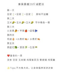 -Fundi张玉珊修身堂·indiba·BTL科技瘦身