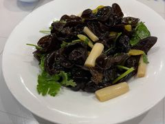 藕尖木耳-东方饺子王(和平里店)