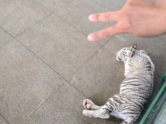 -秦皇岛野生动物园