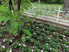 -黑龙江省森林植物园