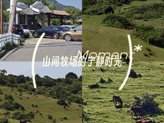 -大姆山草场