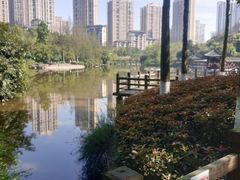 -龙头寺公园