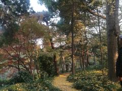 -叶家花园