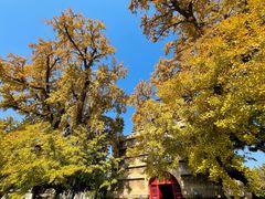 -北京石刻艺术博物馆(五塔寺)
