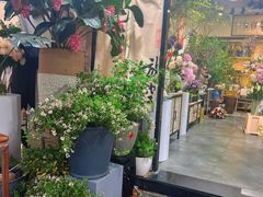 -溪岸路花鸟市场