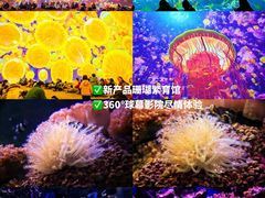 -海合安武汉极地海洋公园