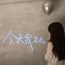 -YESIDO椰岛造型