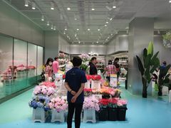 -盒马X会员店(上海森兰商都店)