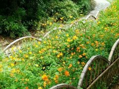 -白马涧龙池景区