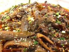 -情妹耙泥鳅·江湖川菜(科华店)