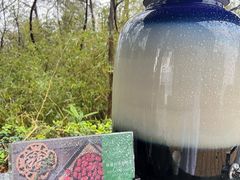 -天目湖涵田半山温泉