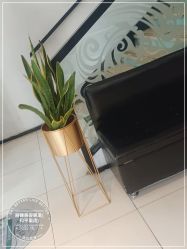 -LJOY丽锦造型·烫发染发