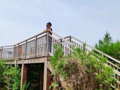 -亲兄弟真人CS团建拓展基地