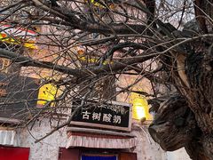 -古树酸奶(八廓南街店)