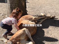 -可伦宾野生动物保护区