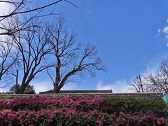 -红螺寺