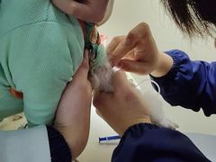 -全心全意连锁动物医院·微创中心·内科急重症·心脏专科(丰管路店)