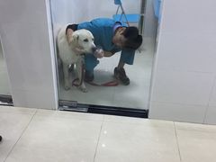 -瑞鹏宠物医院华南总院·夜诊·心脏科·骨科