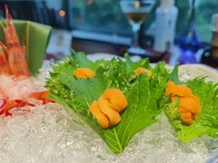 -初花·日本料理