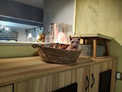 -Meowの猫咖(万家丽店)