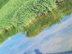 -捞渔河湿地公园