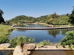 -国恩寺