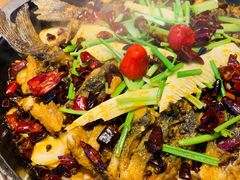 -老板恋上鱼(恒隆广场店)