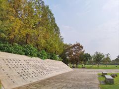-澹台湖公园