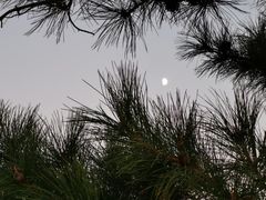 -红山国家森林公园