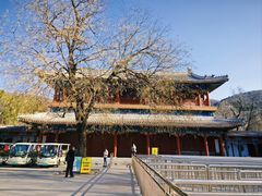 -潭柘寺景区