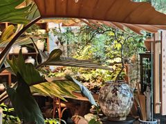 -自由生长植物工作室(深港花卉中心店)