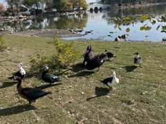 -长春市南湖公园