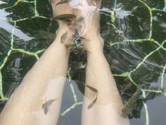 -海兰云天度假区温泉
