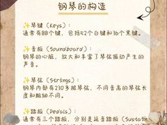 -珠江钢琴艺术中心(文一路店)