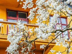 -杭州上天竺法喜讲寺