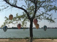 -武清南湖绿博园