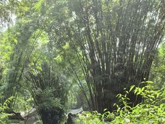 -成都杜甫草堂博物馆