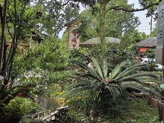 -青城甲(青城山店)