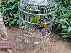 -南宫五洲植物乐园